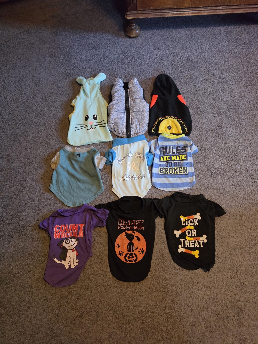 Bundle Of 9 Assorted Dog Shirts, Sweatshirts, & Coat Size XS